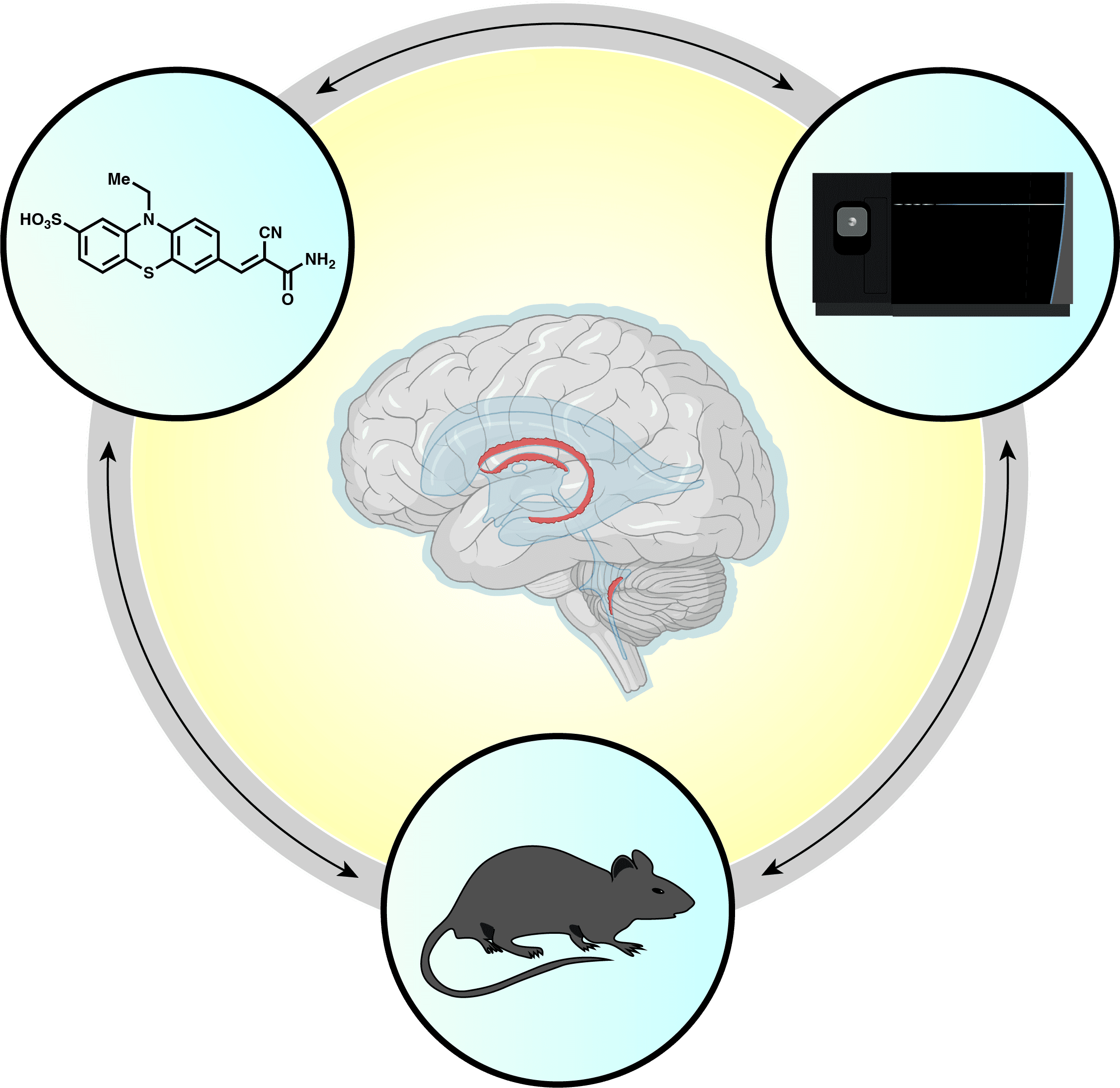 Illustration connecting organic synthesis, mass spectrometry, brain biology, and mouse models.